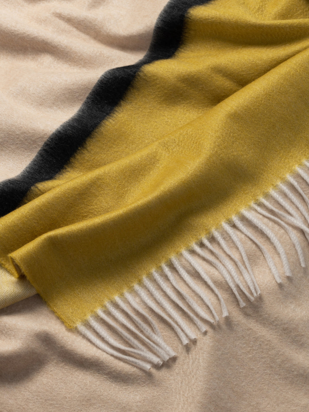 Arran Borderland Cashmere Throw French Gold Black | Begg x Co